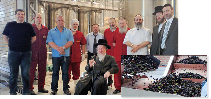 A Kosher Mart, empresa que comercializa produtos casher lemehadrin sob a supervisão do Rabino Meir A. Iliovits, produz suco de uva casher nacional