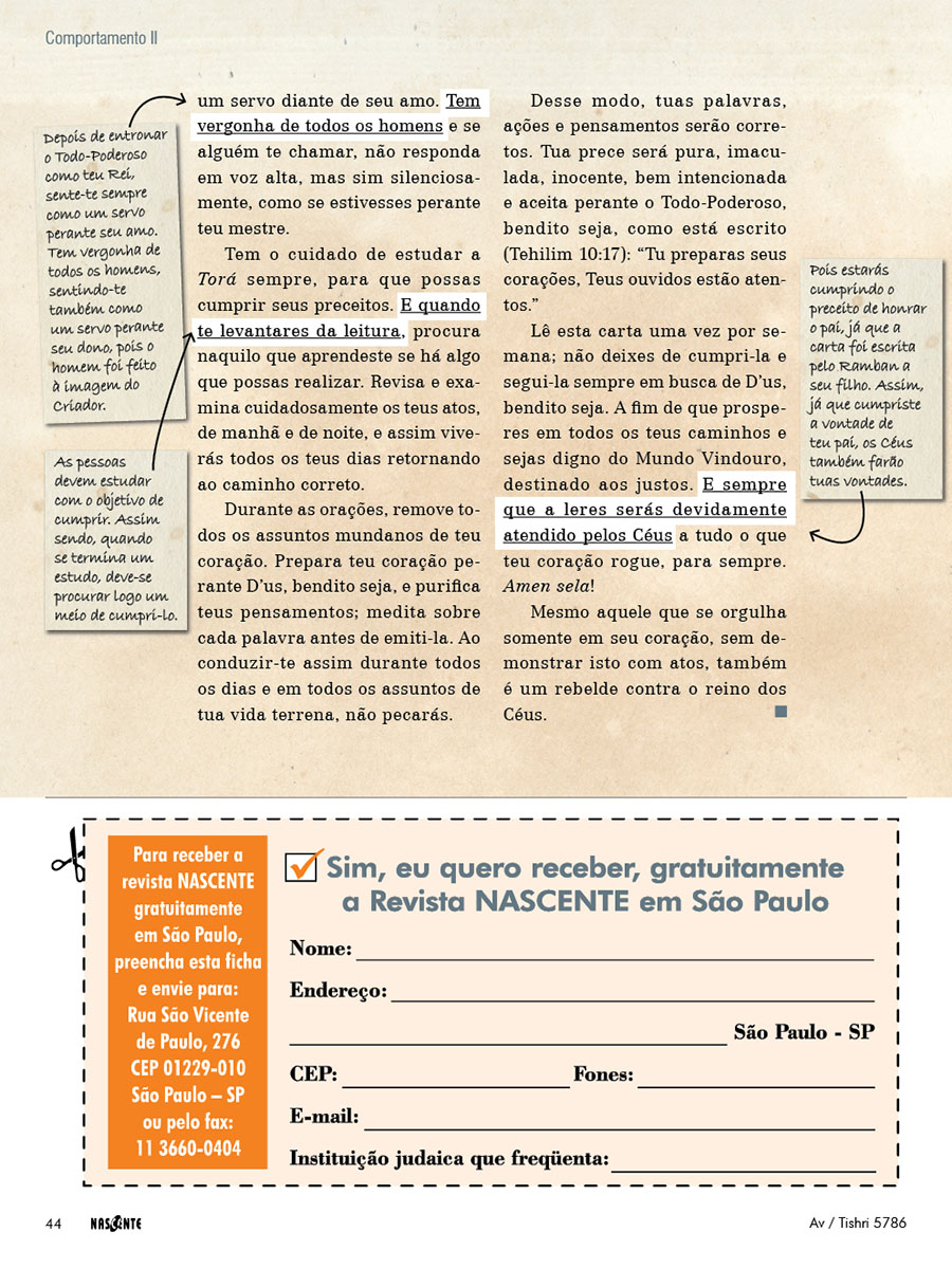 Comportamento II